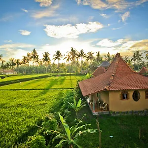 https://dragonfly-village.ubudhotelsnow.com